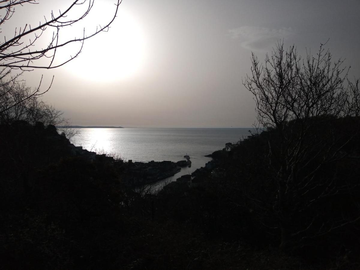 Homestay West Downs